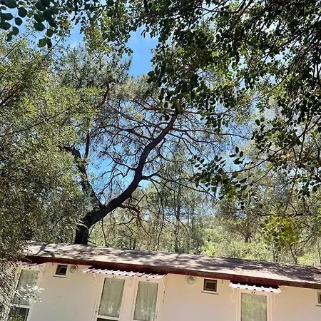 Hotel Olympos Angels Garden Kumluca