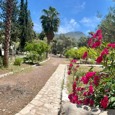 Olympos Angels Garden 3* Kumluca