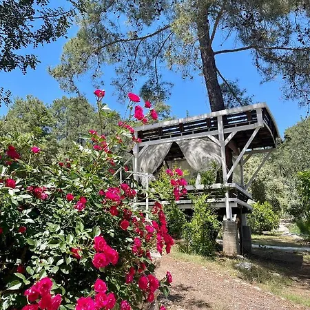 Olympos Angels Garden Hotel Kumluca