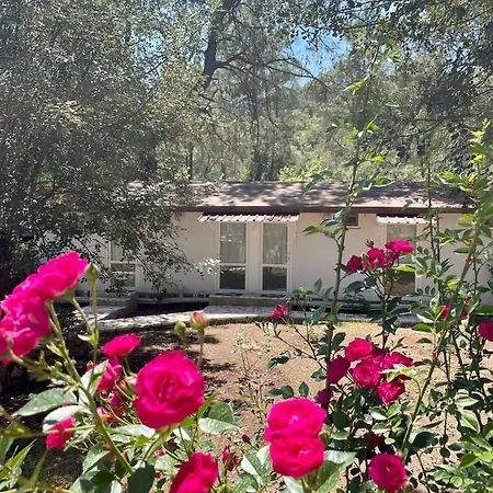 Olympos Angels Garden Hotel 3*