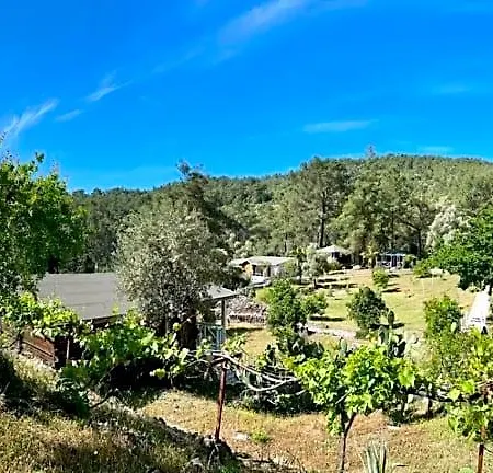 Olympos Angels Garden Hotel 3*
