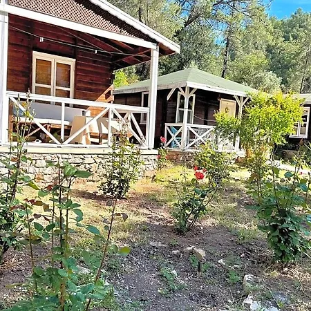 Olympos Angels Garden 3*