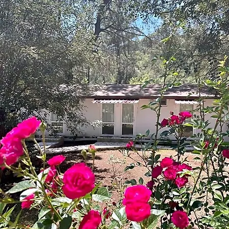 Olympos Angels Garden Ξενοδοχείο