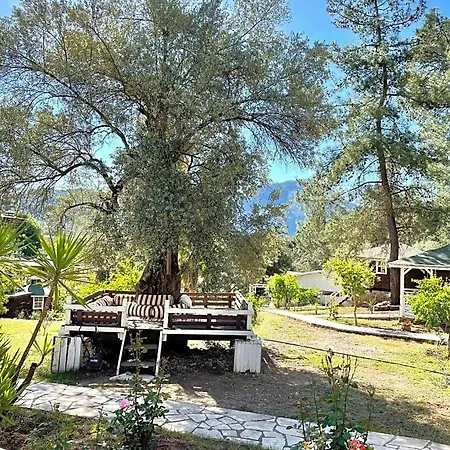 Ξενοδοχείο Olympos Angels Garden 3*