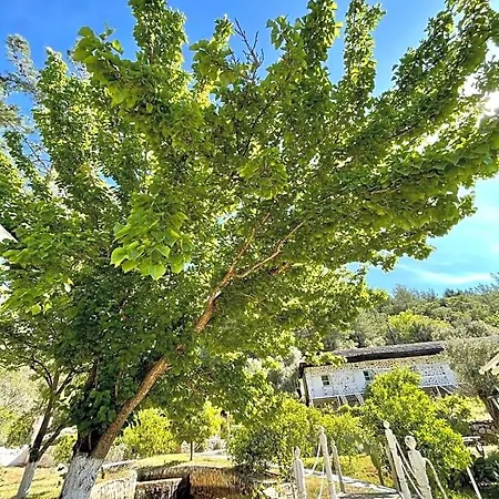 Olympos Angels Garden Ξενοδοχείο
