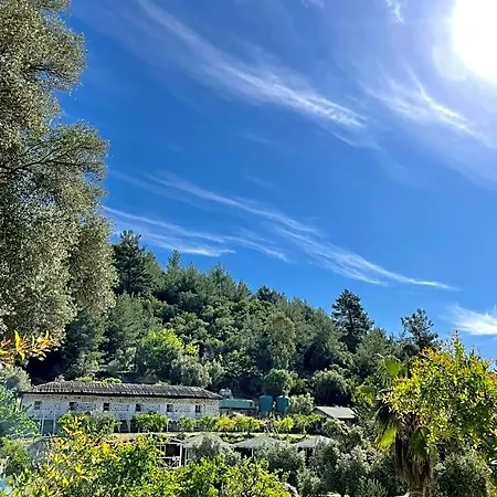 Olympos Angels Garden 3*