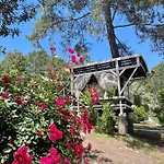 Olympos Angels Garden Hotel Kumluca