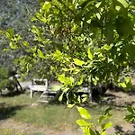 Olympos Angels Garden Hotel