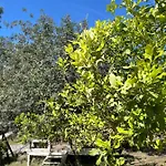 Hotel Olympos Angels Garden 3*