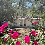 Olympos Angels Garden Hotel 3*