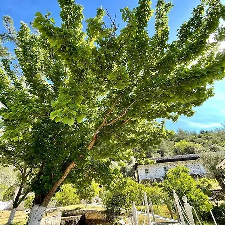 Hotel Olympos Angels Garden Kumluca