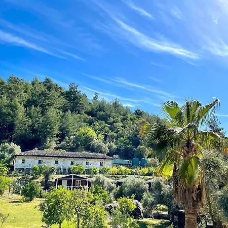 Olympos Angels Garden 3* Kumluca