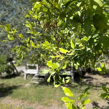 Olympos Angels Garden Hotell