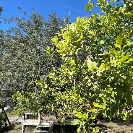 Hotell Olympos Angels Garden 3*