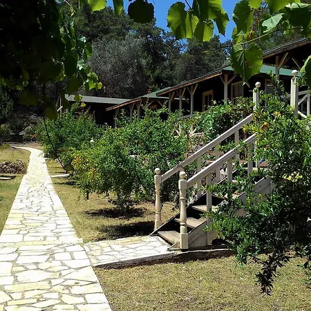 Olympos Angels Garden